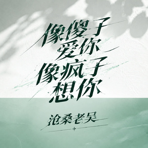 像傻子爱你像疯子想你