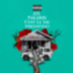 C'est La Vie Freestyle