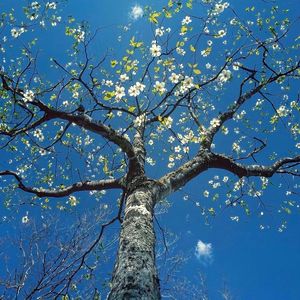 我们不赶时间，慢慢相爱