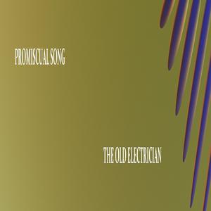 PROMISCUAL SONG