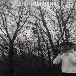 Уничтожение