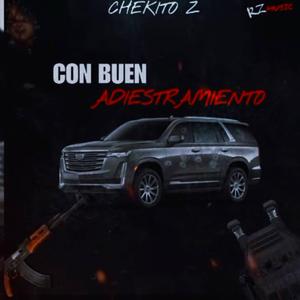 Con buen Adiestramiento