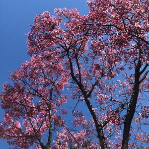 from me, to you (feat. jacy nyte)