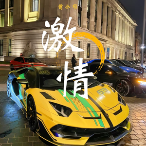 他真的对你好吗 （黄小布 remix）