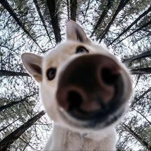 星光璀璨的夜晚