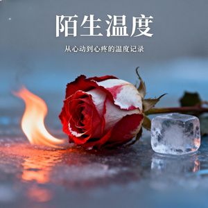 陌生温度
