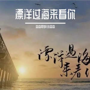 漂洋过海来看你