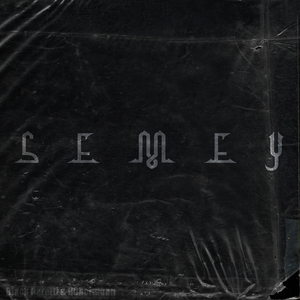 WHOOPTY (feat. d0bermann)