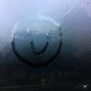 羊角花又开（翻自 刘惜君）