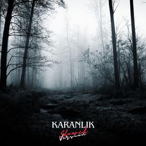 Karanlık (Slowed Version)