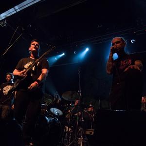 Kalos Irthes Ston Paradiso