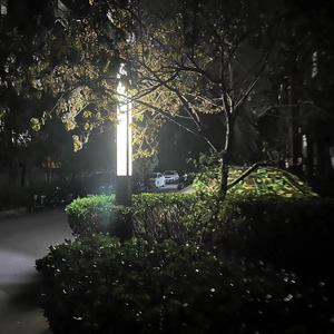 无所谓无所为