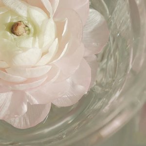 阿拉伯语-沙漠的家-摇滚-传统-现代-力量女声