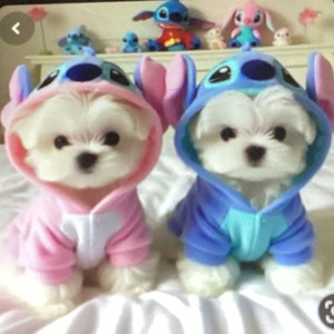 Truman Show (slowed)