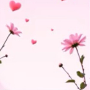 あなたに伝えたい気持ち