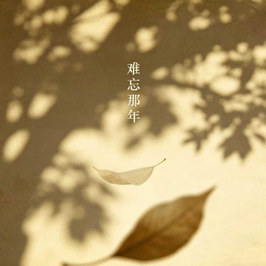 难忘那年
