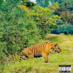 动物拍卖会（Prod.By BLACKFAT)