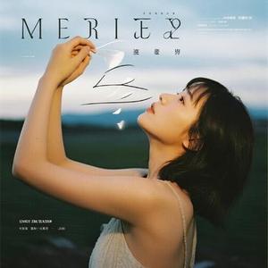 星河追梦 (Remix)