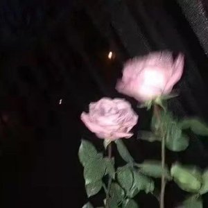 那你呢 什么时候去见你最想见的人