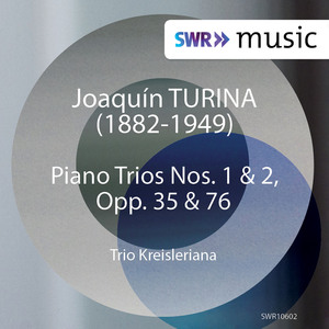 Piano Trio No. 1 in D Major, Op. 35:II. Theme and Variations