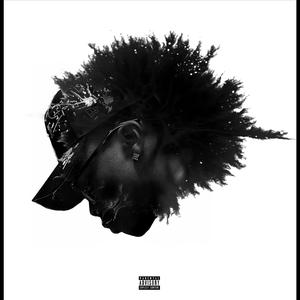 RISK IT ! (feat. Steve VillainsS)