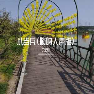 小当兵 (唢呐版)