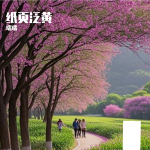 纸页泛黄
