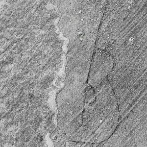 岸部眞明 - 雨降る窓辺で