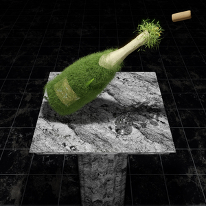 Champagne Wishes