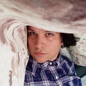 Read Queen Of The Comments