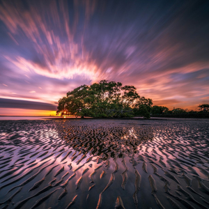 The Sea of Tranquility