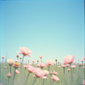 あなたを心から応援しています