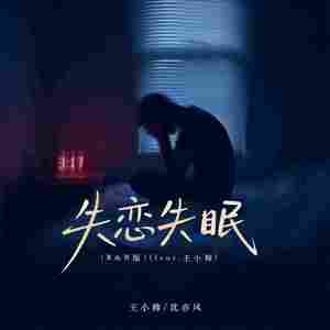 失恋失眠(feat.王小帅) (R&B版)