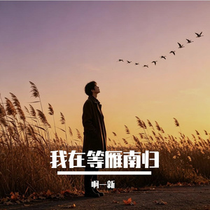 我在等雁南归