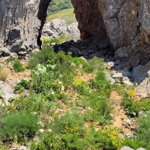 Путешествие