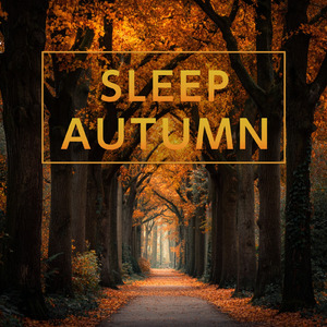 ヒーリング-2分で眠れる睡眠音楽-