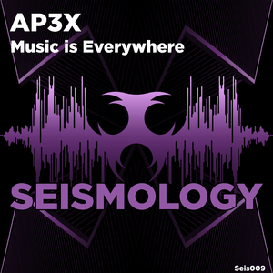 Music Is Everywhere (Original Mix)