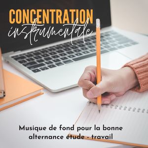 Concentration et productivité