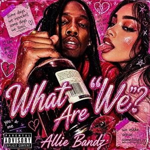 What Are "We"?