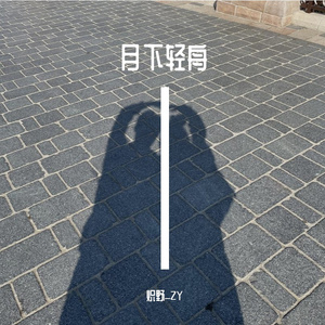 月下轻舟