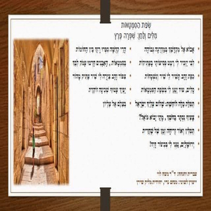 שפת הסמטאות