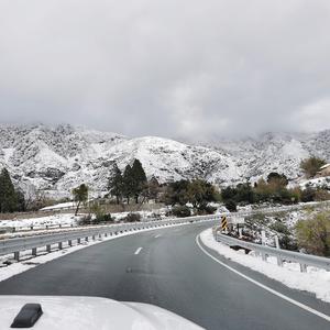 我怕你已走又怕你未至