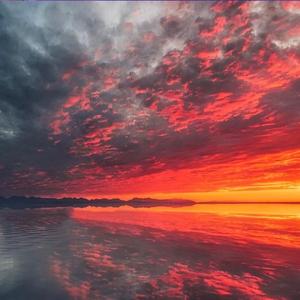 有种关系叫知己