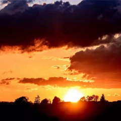 愈疗身心2-六个阶段的修复（30分钟）_02