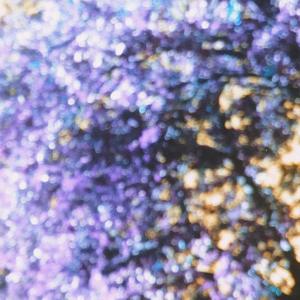 All Hail The King (Slowed Remix)