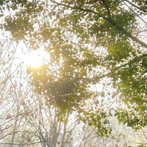 [免费可商用]nevending「lil tjay Toosii plol g 艾志恒 sasi 」