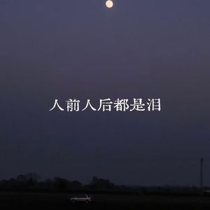 人前人后都是泪