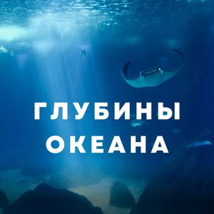 Глубокое море