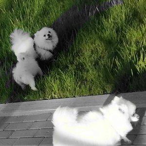 我最喜欢冷天气