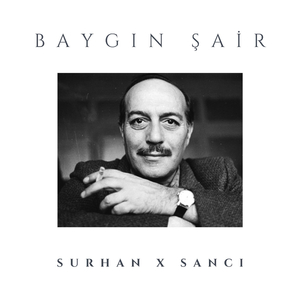 Baygın Şair